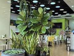 -813芭依珊 BAESAn(皇冠十畝地店)