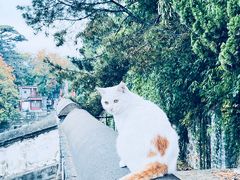 -颐和园