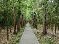 -同里国家湿地公园
