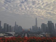 -莲花山公园