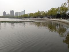 -莲花池公园