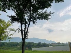 -秦始皇帝陵博物院(兵马俑)