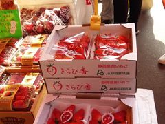 -油麻地果栏