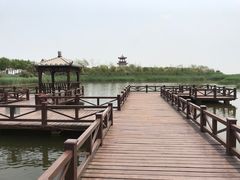 -南大港湿地风景区