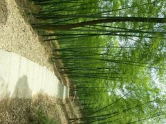 android_upload_pic-藏龙百瀑风景区