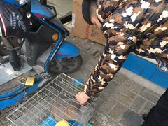 -志龙皇冠吃货椰子铺
