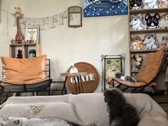 -小时光咖啡馆(开森度假森林店)