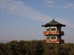 -盐洲岛