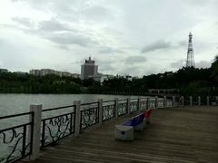 -金山植物公园