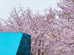 -龙美术馆(西岸馆)