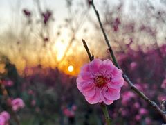 -南京市江宁方山