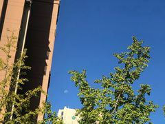 -中南·世纪雅苑