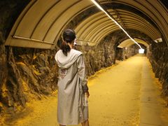 -遂昌金矿国家矿山公园