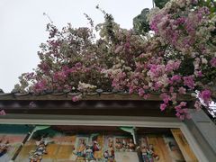 -深圳国际园林花卉博览园