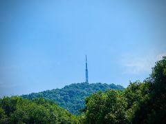 -合肥野生动物园