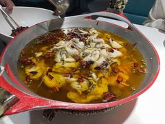 -雲蜀龙阁·金牌水煮鱼(方庄店)