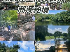 -上海共青森林公园