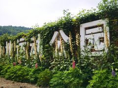 -龙苍沟森林公园