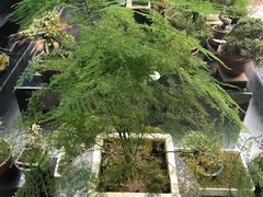 -稍可轩博物馆餐厅