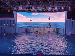 -海合安青岛极地海洋公园