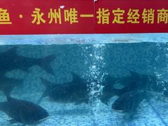 -故乡缘·香格里拉山庄(冷竹路店)