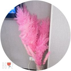 -E.beauty驻颜·痘敏肌调理中心