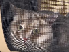 -德元·美联众合24小时动物医院(总院)