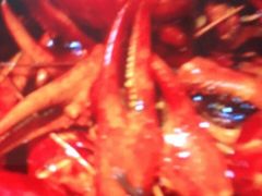 -御苑宾馆-中餐厅