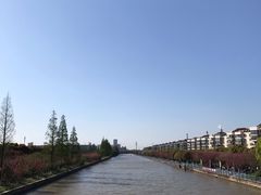 -高东镇樱花园