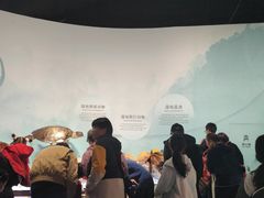 -中国湿地博物馆