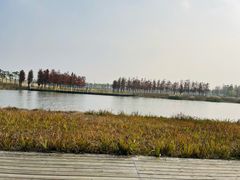 -春花秋色城市公园