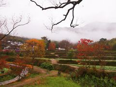 -塔川景区