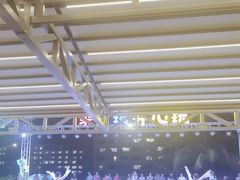 -渔家火锅·海鲜自助餐·演艺(亚龙湾天域酒店)