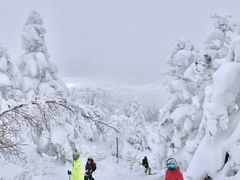 -零度滑雪室内训练中心(莘庄店)