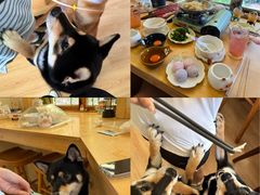 -柴の食堂·日式家庭料理·熊之肆(大学路店)
