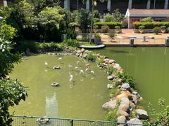 -石排湾郊野公园
