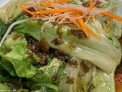 -真定郝家排骨(正定县总店)