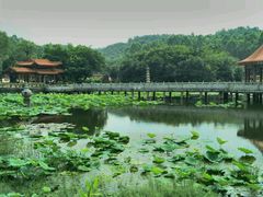 -南国桃园旅游度假区