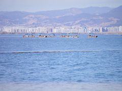 -西昌邛海湿地