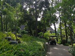-四季酒店下午茶
