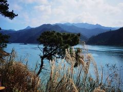 -羚羊峡古栈道森林公园