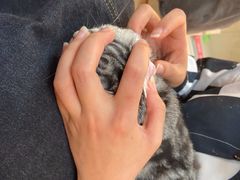 -lincat·猫舍(广州店)