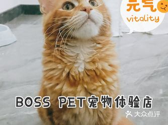 宠物spa 宠联盟生活馆
