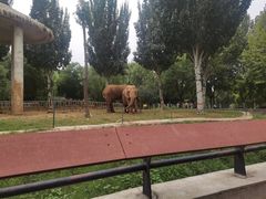 -石家庄市动物园