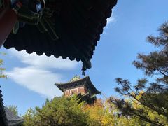 -迎泽公园