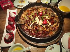 -老板恋上鱼(印象城店)