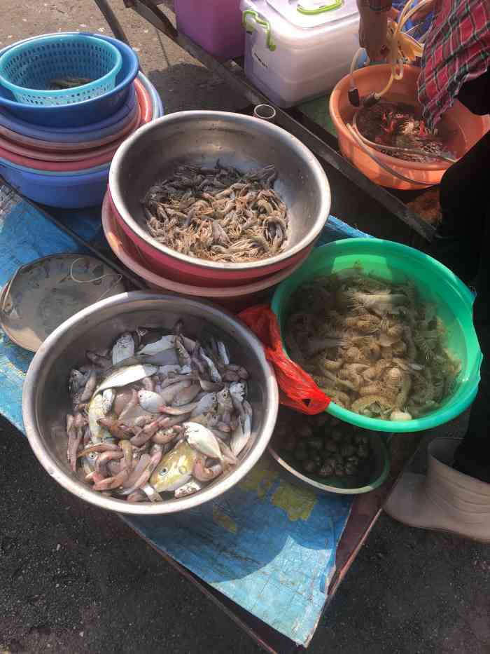 马宫水产品批发市场-"马宫社区的水产品批发市场,离汕尾城区还有.