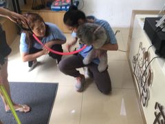 -汪说喵讲宠物乐园宠物酒店(红星美凯龙店)