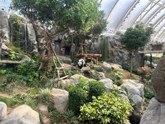 -香港海洋公园