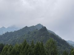 -黑河国家森林公园